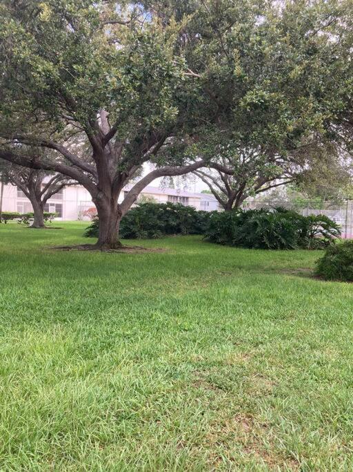 All Season Paradise In Cortez Bradenton Exterior photo